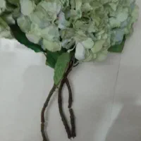 تابلورزین نوسایز۲۰در۲۵|صنایع دستی و سایر لوازم تزئینی|مشهد, آبادگران|دیوار