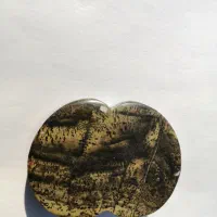 سنگ شجر جاسپر