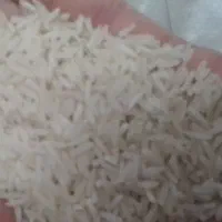 برنج‌فجر‌اصلی‌سوزنی‌معطر