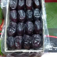 ۱۱عددمادر کارتن