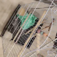 قفس طوطی|لوازم جانبی حیوانات|تهران, شهمیرزادی|دیوار