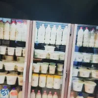 استخدام