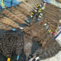 کوتاهی موهای خام و رنگی با قیمت استثنایی