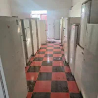 یخچال ۳۰ عدد