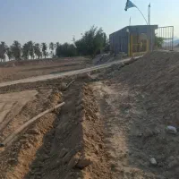 نیروی کار کشاورزی