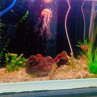 آکواریم سه بعدی 80سانتی