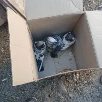 کبوتر خوب سه عدد|پرنده|صفادشت, |دیوار