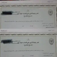 فیش حج ۲ عدد