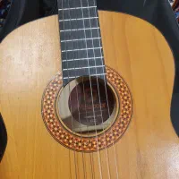 گیتار Mtapoor