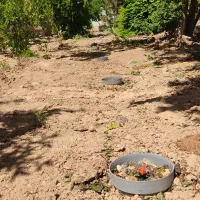 آبیاری زیرسطحی طرح نوین با مزایای فوق العاده