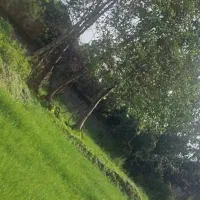 544متردرمحدوده شهرکوچصفهان(چسب روستا)