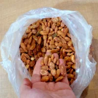 تخمه ژاپنی اصل