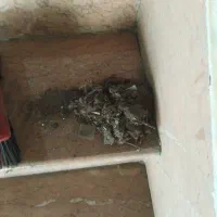 نظافت منازل و راه پله شرکت و ادارات