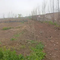 کهریزک-باغستان-جهار-دیواری-شده