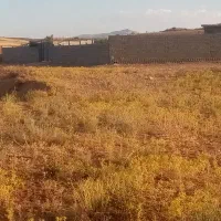 زمین-باغ-شهری-متراژ-کل-3250-متر