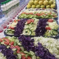 کاروان زیارتی حضرت رقیه ۲ روزه و ۵ روزه|تور و چارتر|ایلام, |دیوار