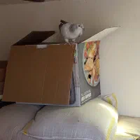 ۳جفت نرمایه خوشگل