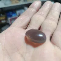 شجر پاییزه|جواهرات|قزوین, |دیوار