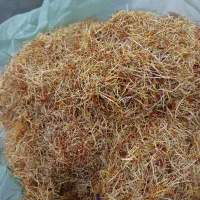 سلام سفیده تمیز امسالی ۴ کیلو و نیم دارم خشک هست