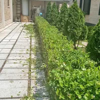 باغبانی|خدمات باغبانی و درختکاری|کرمانشاه, |دیوار