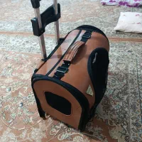 کوله پشتی چرخ دار پت گربه، سگ و ..|لوازم جانبی حیوانات|تبریز, |دیوار