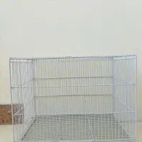 قناری مرغ عشق فنچ عروس هلندی قفس