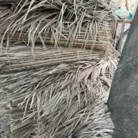 برگ نخل سون