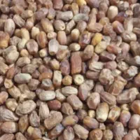 خوردنی و آشامیدنی