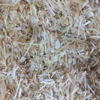 کاه‌گندم‌خوشه