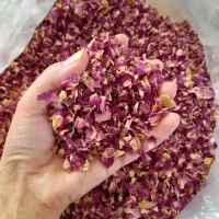 فروش گل محمدی خشک شده