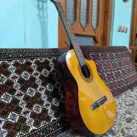 گیتار walden|گیتار، بیس، امپلیفایر|طاهرگوراب, |دیوار