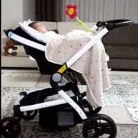 کالسکه|کالسکه و لوازم جانبی|نهاوند, |دیوار