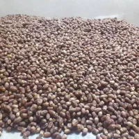 فروش