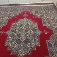 ۱قالی و ۲گلیم فرش دست دوم در حد نو|فرش|شیراز, آزادگان|دیوار