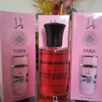 فروش انواع ادکلن شرکتی به قیمت عمده|آرایشی، بهداشتی، درمانی|کهنوج, |دیوار