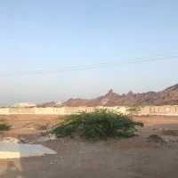 زمین ۱۹۰ متری بر خیابان اصلی