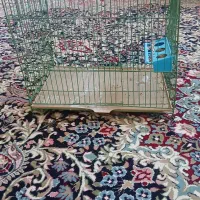 یک عدد قفس کوچک به فروش میرسد