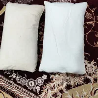 سلام سه عدد زیر گوشی پر مرغی