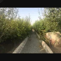باغ ۱۰۰۰ متری چهار دیواری  توضیحات مطالعه شود|فروش زمین و ملک کلنگی|شهریار, رامین|دیوار