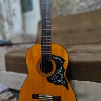 تدریس خصوصی گیتار و خوانندگی