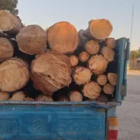 خرید انواع چوب
