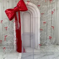 بادکنک آرایی تولد، تنپوشهای عروسکی|خدمات پذیرایی، مراسم|قائم‌شهر, |دیوار