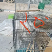 قفس پرنده|لوازم جانبی حیوانات|اندیشه, اندیشه فاز ۱|دیوار