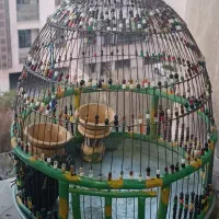 قفس گنبدی دست ساز طرقه سهره بلدرچین