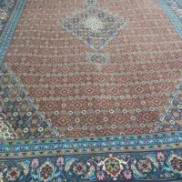 شش متری اردبیل تک