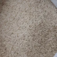 فروشگاه برنج محلی وشالی دمسیاه و فجر و غیره|عمده‌فروشی|آزادشهر, |دیوار