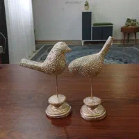 تعدادی دکوری نو