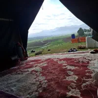 به یک کارگر برای زنبورداری نیازمنیدم