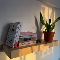 شلف پایه مخفی plywood|کتابخانه، شلف، قفسههای دیواری|تهران, وردآورد|دیوار