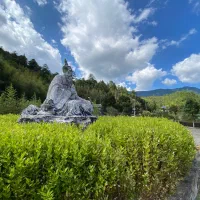 پکیج ۱۶ جلسه مشاوره، ۷۲۰ دقیقه در تمام زمینه ها